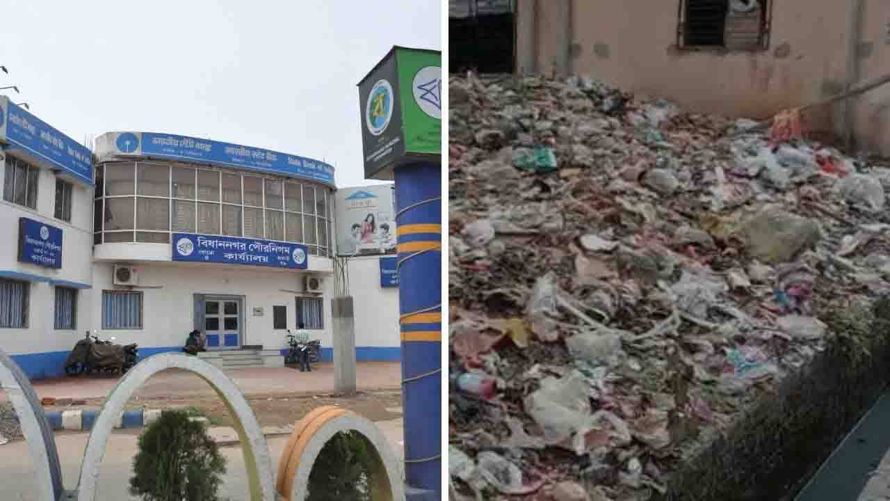 Dengue: বিধাননগরে আতুঁড়ঘর ডেঙ্গুর! এলাকায় আবর্জনার স্তুপ, পাশেই আবার কাঁচা নর্দমা