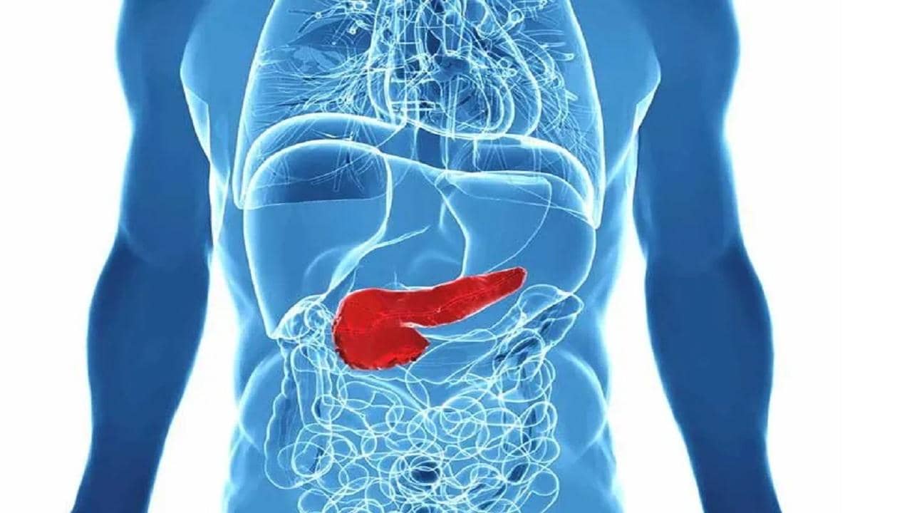 World Pancreatic Cancer Day: প্রাথমিক পর্যায়ে এই ক্যানসার শনাক্ত করা প্রায় অসম্ভব! জেনে রাখুন বিশদে