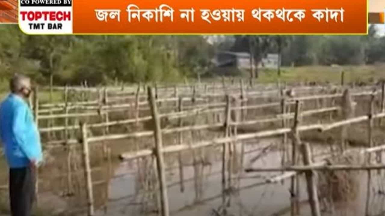 Daspur Drainage system: খাল কেটে কুমির এনেছে দাসপুর! সেচ দফতরের গাফিলতির জেরে জমির পর জমি বন্ধ্যা