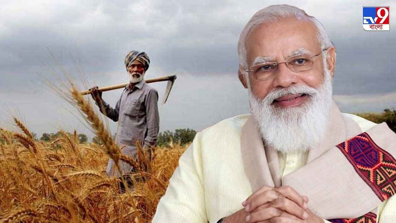 Centre’s Decision on Farm Laws: কৃষি আইন কেন প্রত্যাহার করল সরকার? বললেন নমো