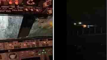 Viral Video: মৃত পাখির দেহাংশ আটকে উইন্ডোস্ক্রিনে! তবুও নিরাপদে অবতরণ বিমানের, ভিডিয়ো ভাইরাল ট্যুইটারে