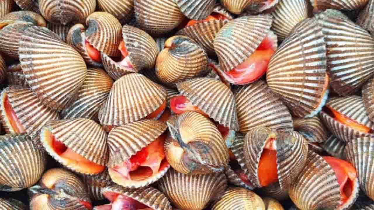 ব্লাড ক্লাম (Blood clams): চীনে সাধারণত ব্লাড ক্লাম খাওয়া হয়। এই