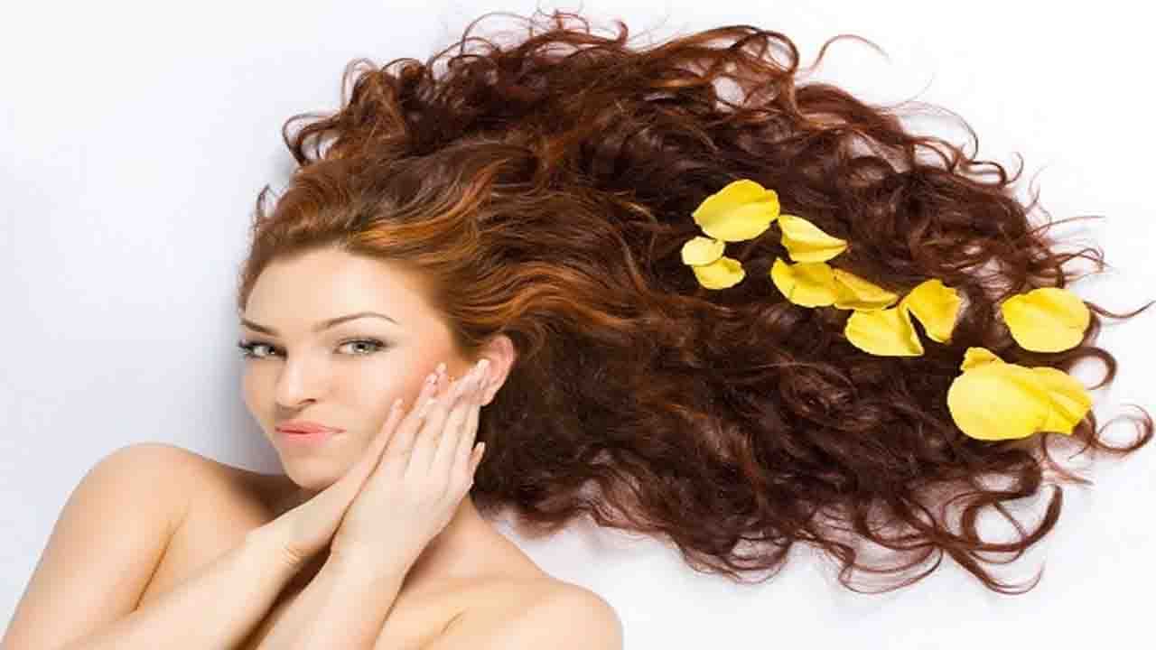 Hair Care: শীতকালে বেশি হেয়ার ফল হয়? শীতের ফলের মধ্যেই লুকিয়ে আছে এর সমাধান