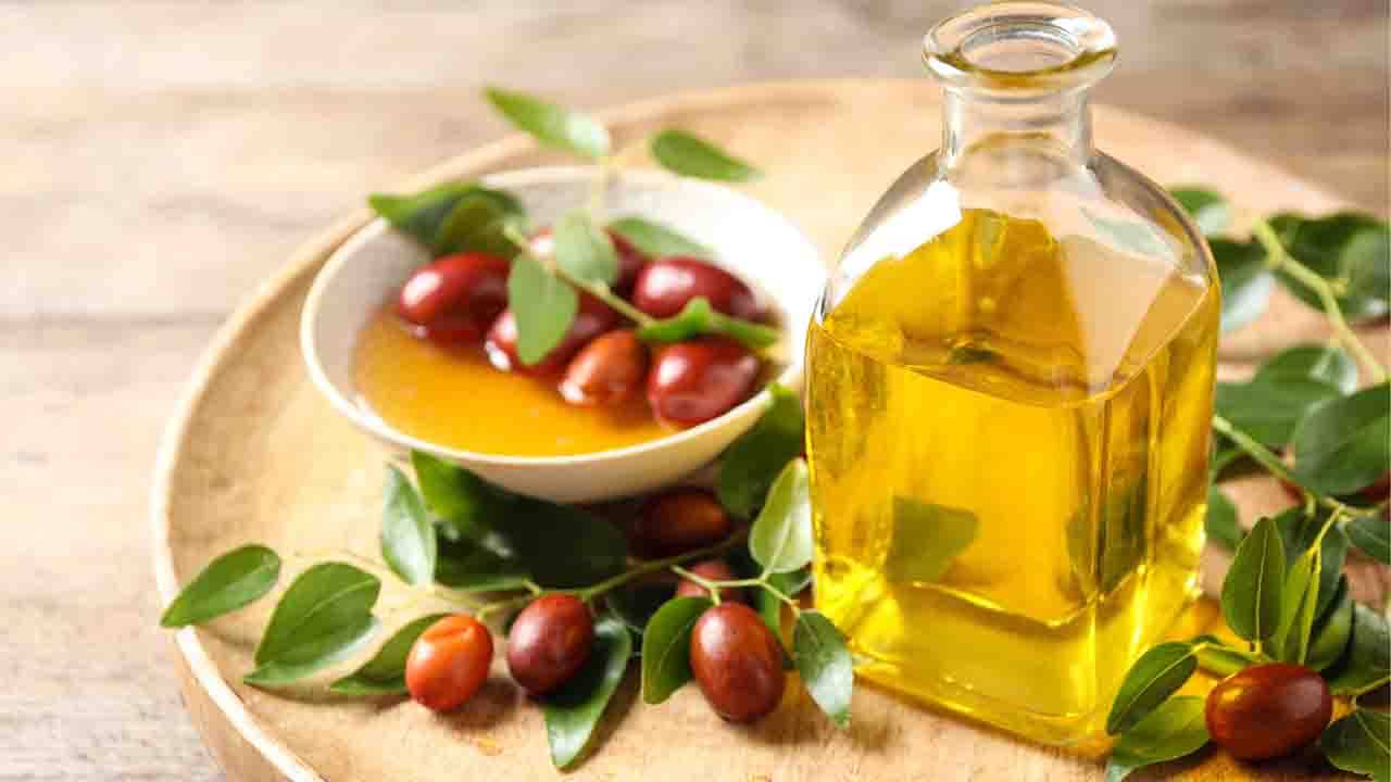 Jojoba Oil: ব্রণর হাত থেকে রেহাই পেতে কীভাবে ব্যবহার করবেন জোজোবা অয়েল? দেখে নিন