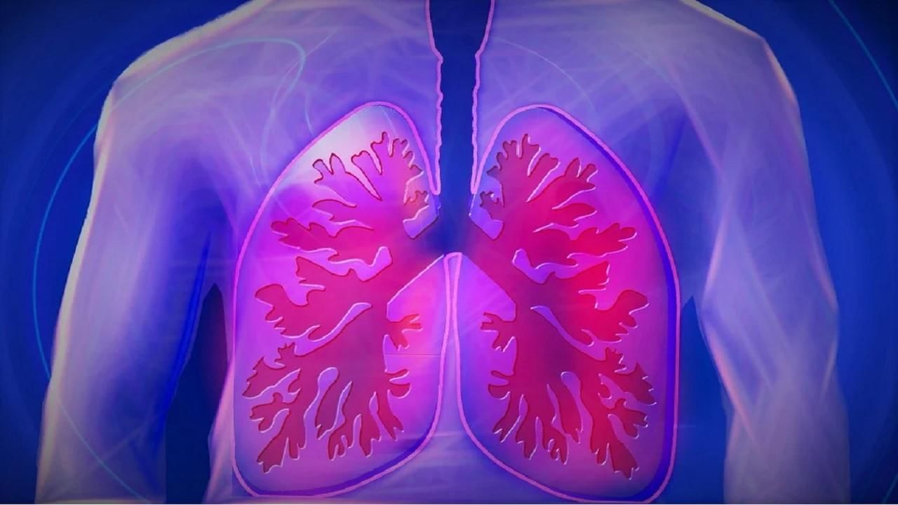 World COPD Day: এই মরশুমে অবশ্যই জেনে রাখুন ক্রনিক অবস্ট্রাকটিভ পালমোনারি ডিজিজ় আসলে কী?
