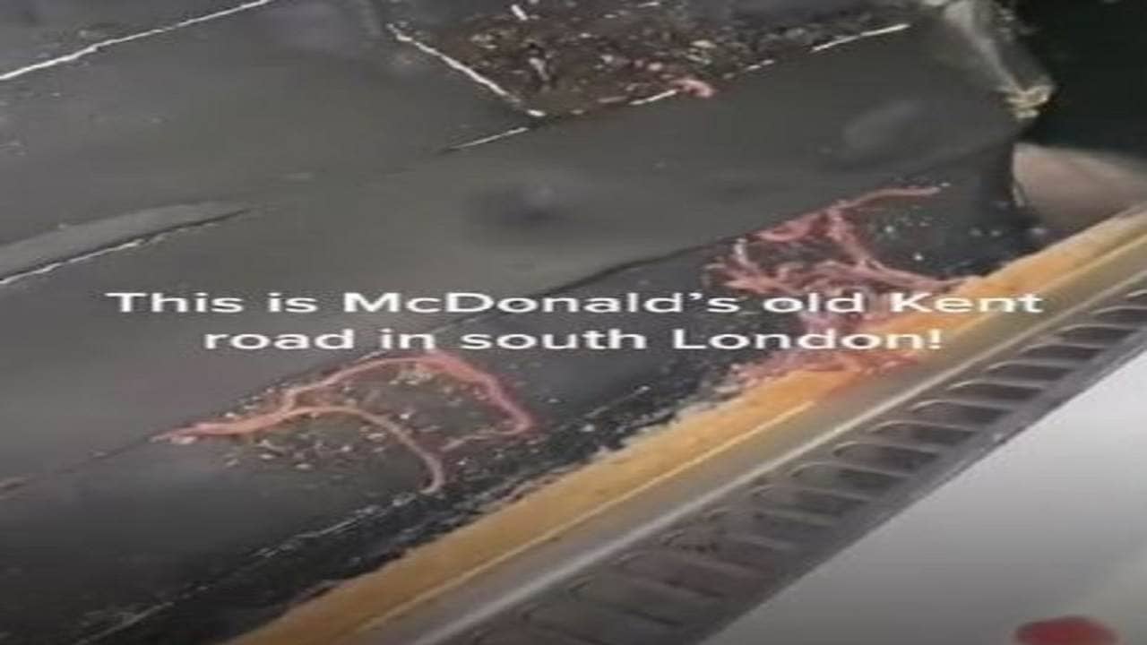 Viral Video: ম্যাক ডোনাল্ডের পানীয়ে কিলবিল করছে পোকা, আত্মারাম খাঁচাছাড়া হওয়ার মতো অবস্থা গ্রাহকের!