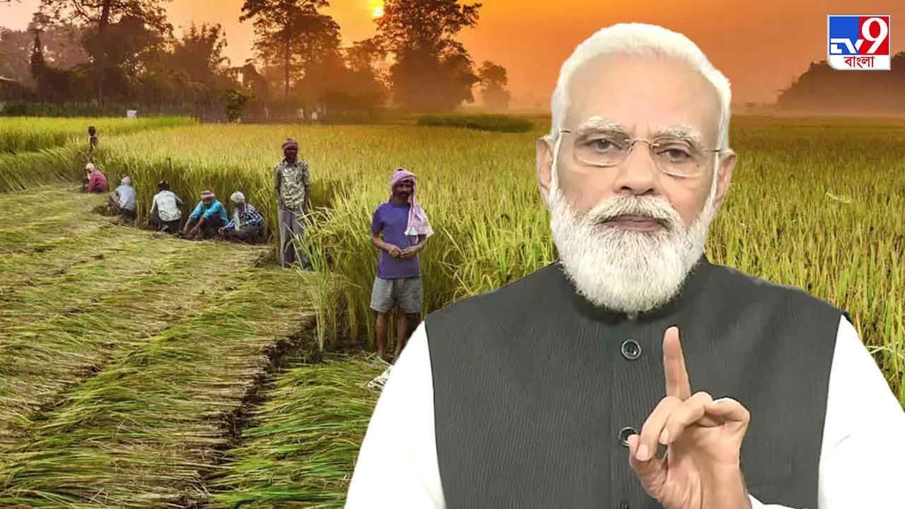 PM Modi on Farm Law: 'কৃষকরা মাঠে ফিরে আসুন' তিন কৃষি আইন প্রত্যাহার করল মোদী সরকার