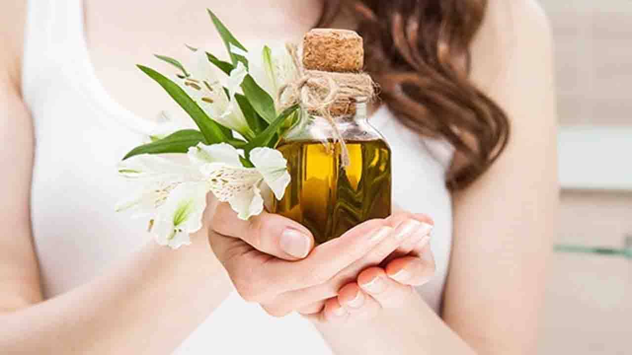 DIY Hair Mask: শীত পড়তেই চুলের সমস্যায় নাজেহাল? চুলে পুষ্টি জোগাতে ব্যবহার করুন এই হেয়ার মাস্ক