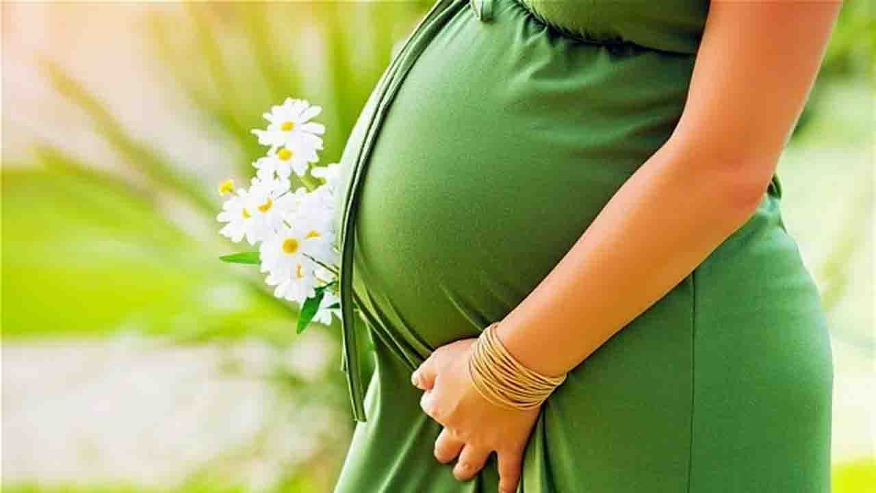 Pregnancy During Diwali: সামনেই দীপাবলি! উৎসবের মধ্যে কীভাবে নিজের যত্ন নেবেন গর্ভবতী মহিলারা