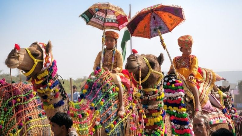 পুস্কর মেলা: ভারতের অন্যতম এক জনপ্রিয় মেলা হল পুস্কর মেলা। সারা পৃথিবীর বিভিন্ন কোণ থেকে মানুষ আসে এই সময় মেলার আকর্ষণে। এইখানে উট, ঘোড়া, ষাঁড় ক্রয়-বিক্রয় হয়। এমনিতেও রাজস্থানি নাচ-গানের টানে এই সময় পর্যটকদের ভিড় জমে প্রতিবছর।