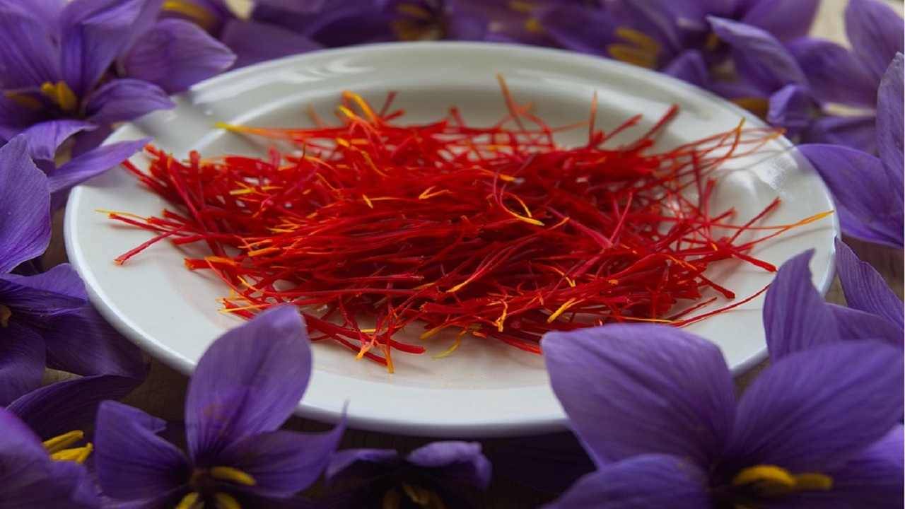 Saffron: Saffron: রূপচর্চায় কেশর ব্যবহার করতেন রাজকুমারীরাও, কেমন করে জানুন...