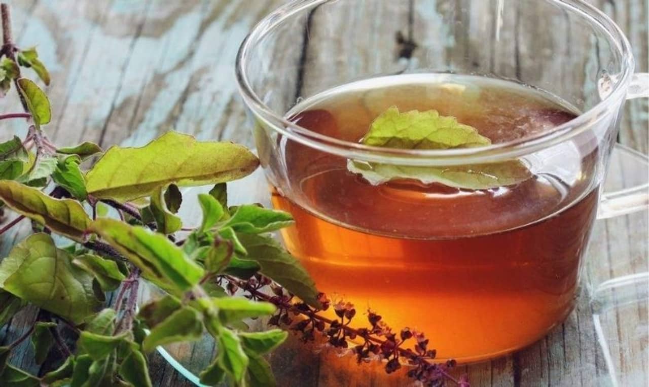 Winter Health Care: আবহাওয়ার খামখেয়ালিতে গলা ব্যথা-সর্দি-জ্বরের জন্য কালো চা-তুলসী অব্যর্থ টোটকা!