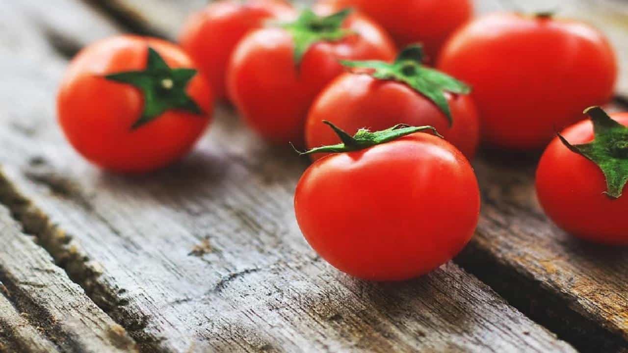 Tomato Price Hike: ছেঁকা দিচ্ছে দাম, টমেটো ছাড়াই হেঁশেলে হোক সুস্বাদু ৩ রেসিপি.. Tomato Price Hike: ছেঁকা দিচ্ছে দাম, টমেটো ছাড়াই হেঁশেলে হোক সুস্বাদু ৩ রেসিপি..