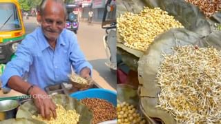 Viral Video: গায়ে উঠে বসে আছে বিষাক্ত সাপ, ঘন জঙ্গলে সাহায্যের কেউ নেই, এই অবস্থায় দেখুন কী করলেন এই ব্যক্তি…