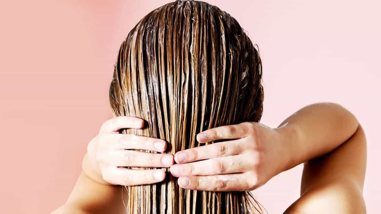 Hair Care Tips: একটু যত্ন নিলেই চুল হয়ে উঠবে ঝলমলে সুন্দর, কিন্তু এই টিপসগুলো প্রতিনিয়ত মেনে চলতে হবে... Hair Care Tips: একটু যত্ন নিলেই চুল হয়ে উঠবে ঝলমলে সুন্দর, কিন্তু এই টিপসগুলো প্রতিনিয়ত মেনে চলতে হবে...