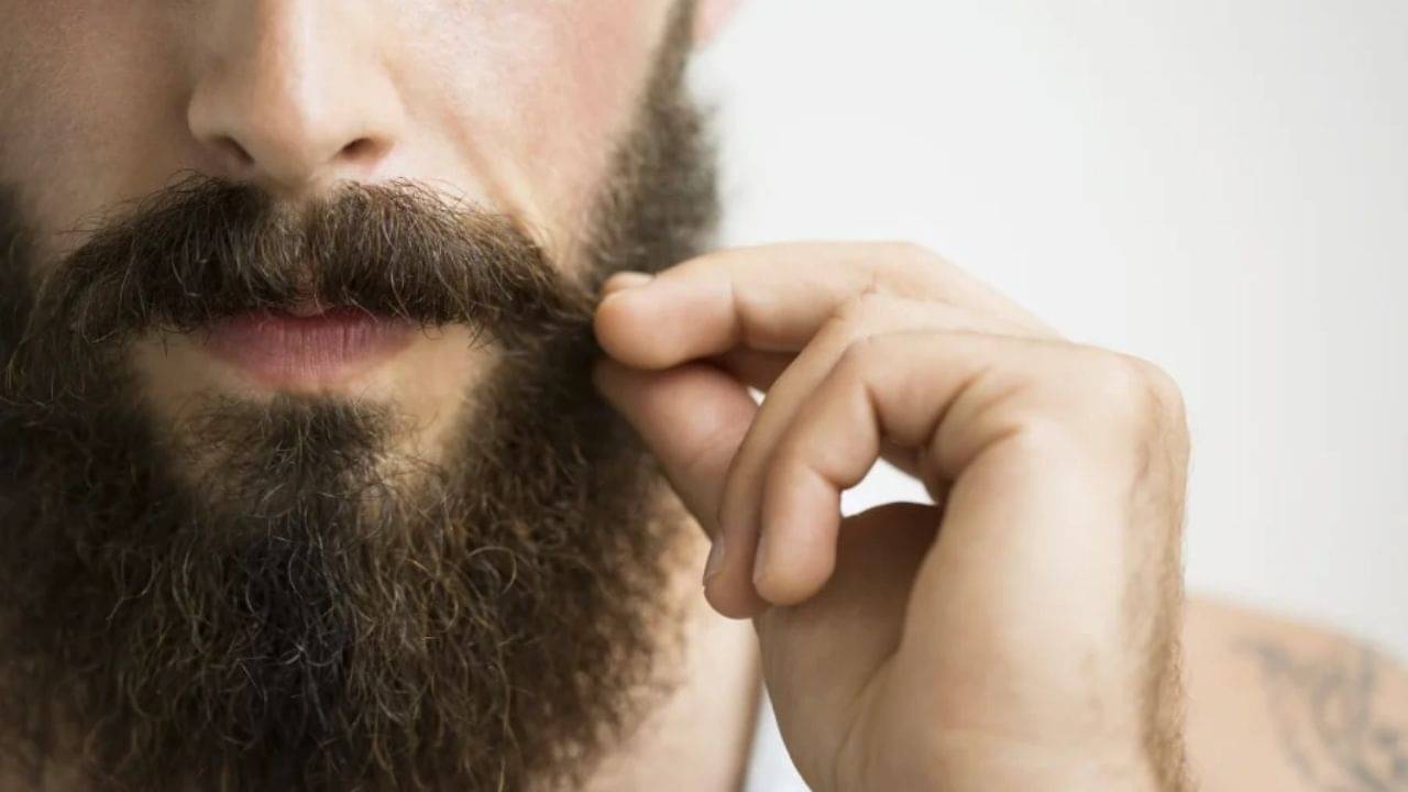 Beard Benefits: শীতকালে দাড়ি রাখলে পাবেন একাধিক স্বাস্থ্যকর উপকারিতা, সবিস্তারে জেনে নিন...