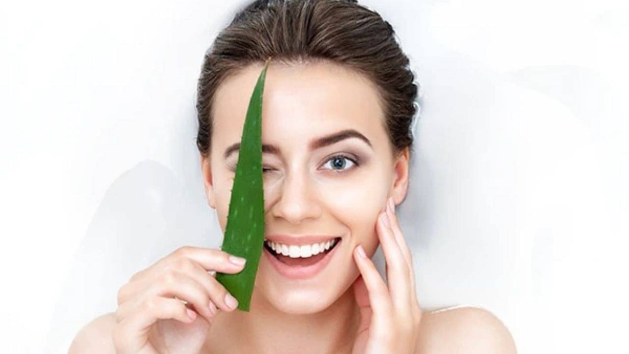 Winter Skin Care: শীতকালে এই একটা উপাদানই আপনার ত্বকের যাবতীয় সমস্যা থেকে আপনাকে সুরক্ষিত রাখতে পারে...