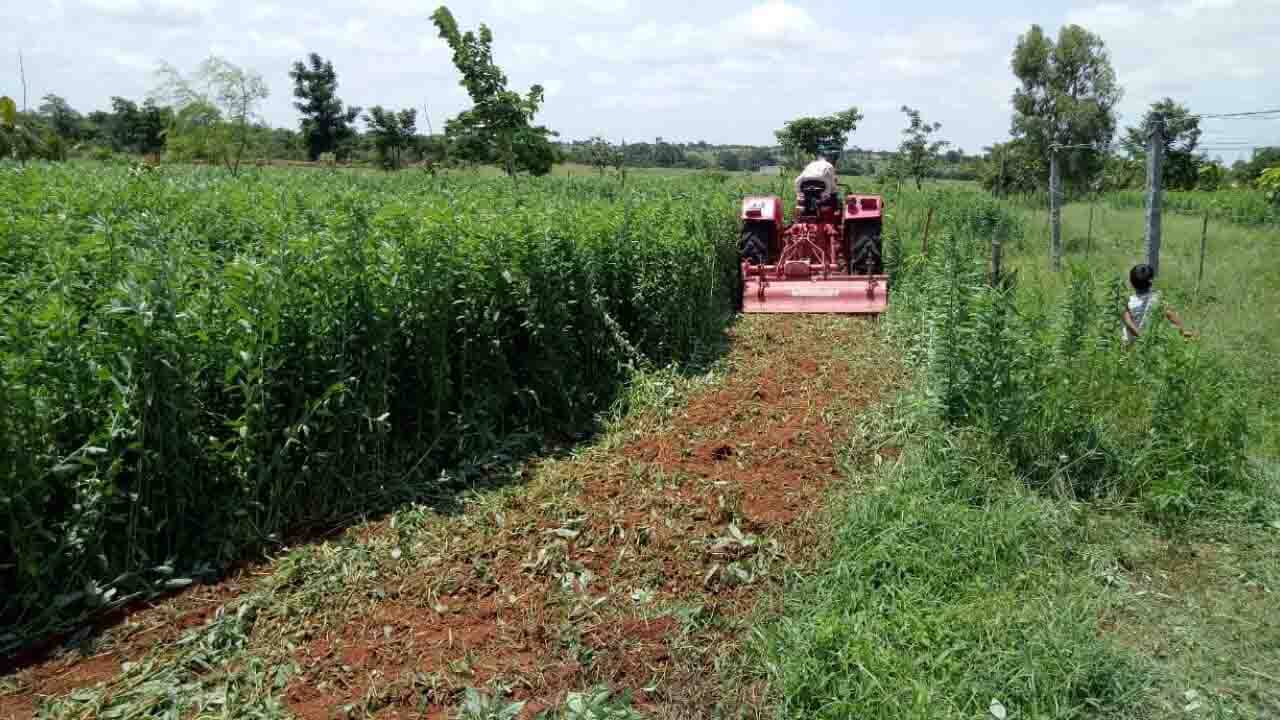 Agri Infra fund: ৪০০০ এর বেশি প্রোজেক্টের জন্য এখনও পর্যন্ত সরকারের খরচ হয়েছে ২০৭১ কোটি টাকা