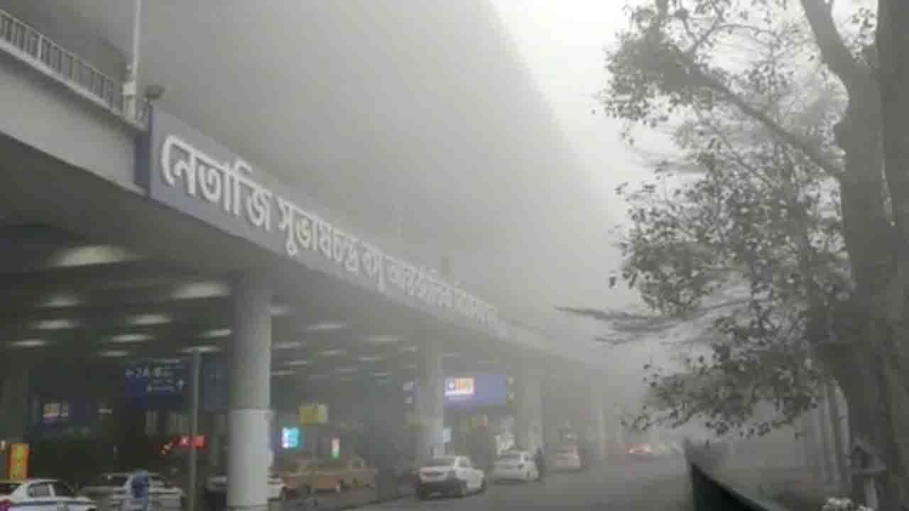 Foggy Morning: শীতের প্রথম ঘন কুয়াশাচ্ছন্ন সকাল! ২ ঘণ্টা কোনও বিমান উড়ল না কলকাতায় বিমানবন্দরে