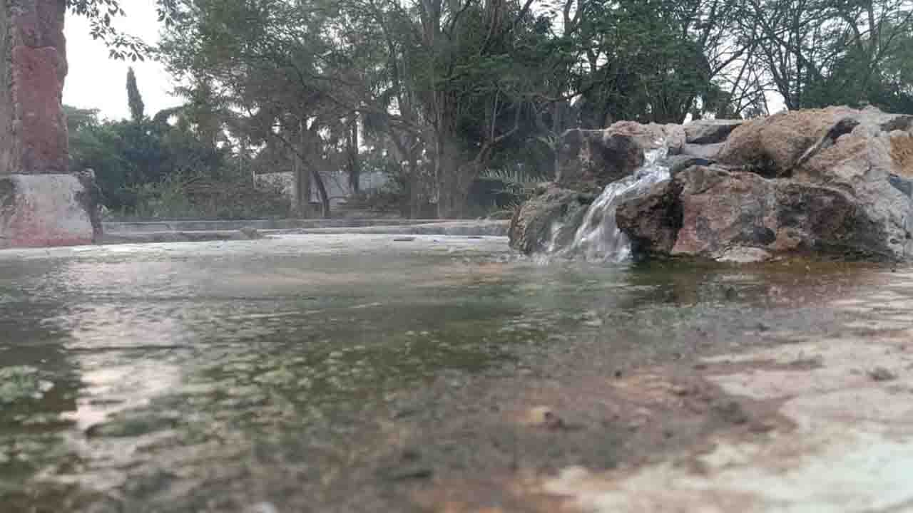 Asansol Hotspring: ২৪ ঘণ্টা মাটির তলা থেকে বেরিয়ে আসছে গরম জল! বারাবনির জঙ্গলে 'লুকিয়ে' প্রকৃতির সেই আশ্চর্য