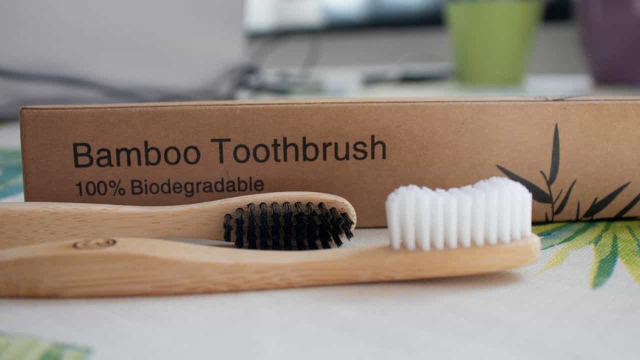 Bamboo Toothbrushes: বাঁশের না প্লাস্টিকের টুথব্রাশ! কোনটি দাঁতের পক্ষে উপকারী ও কেন? Bamboo Toothbrushes: বাঁশের না প্লাস্টিকের টুথব্রাশ! কোনটি দাঁতের পক্ষে উপকারী ও কেন?
