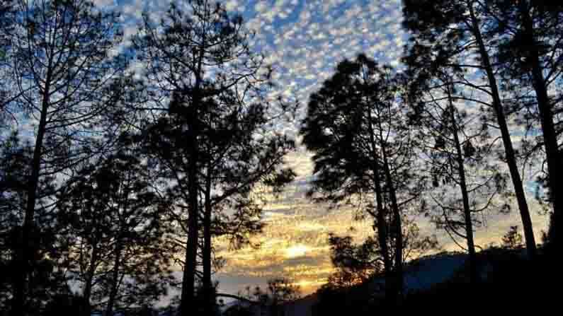 Binsar Wildlife Sanctuary