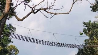 Jalpaiguri Bear Panic: শীতের সঙ্গে পাল্লা দিয়ে ডুয়ার্সে বাড়ছে ভালুক-আতঙ্ক, গুজব না ছড়ানোর পরামর্শ বনদফতরের