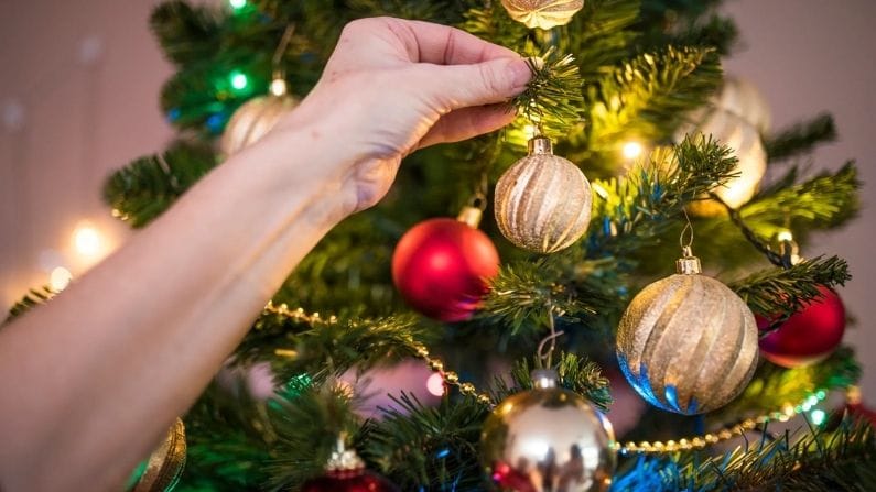 আলো ছাড়া আর কী কী দিয়ে সাজাবেন, তা গোড়াতেই ভেবে নিন। যখন থিমটা ভাবছেন, তখনই ভেবে নিন কী কী দিয়ে সাজাবেন। গাছ আর দেওয়ালের মাঝে যে ফাঁকটা পাবেন, সেটাও ঠিক করে ব্যবহার করুন। 