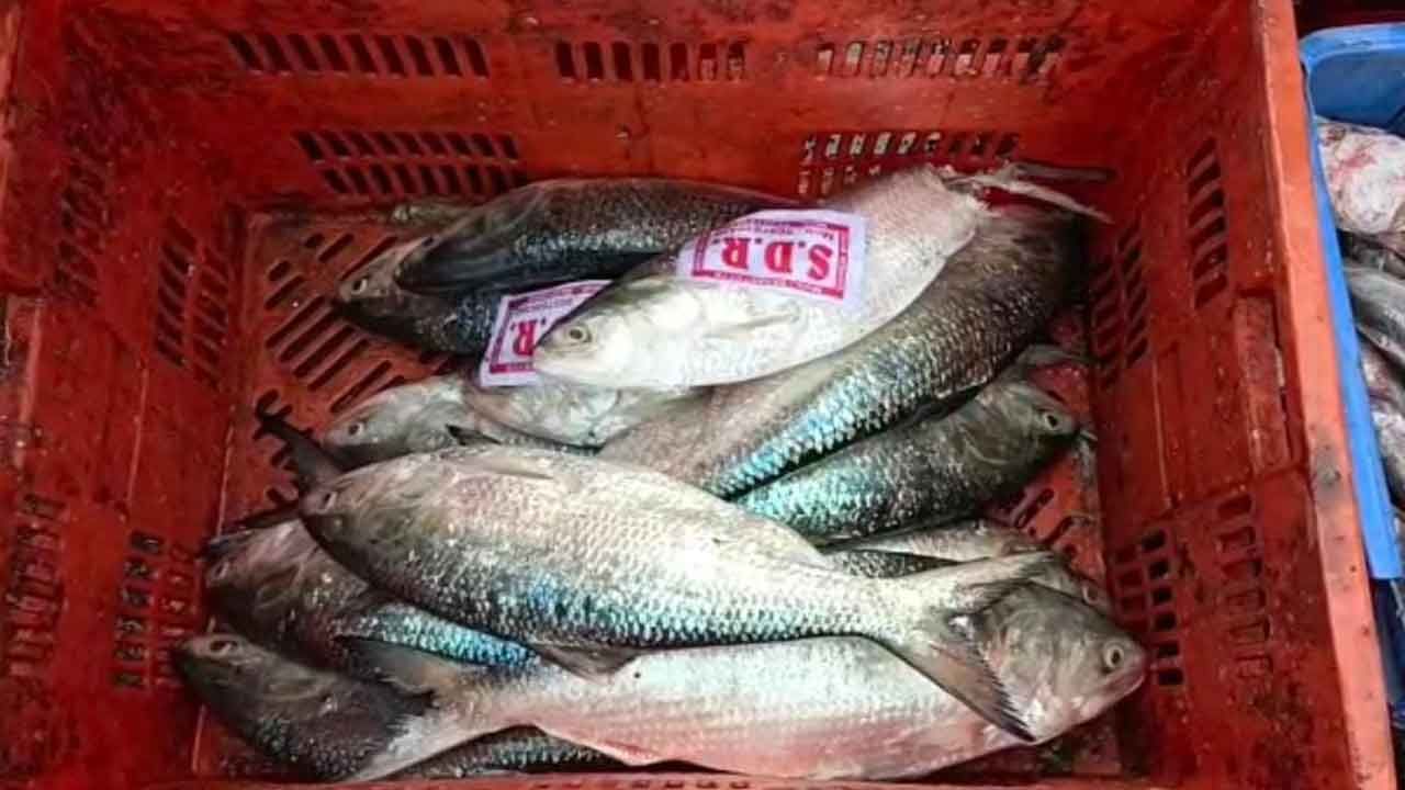 Digha Hilsa: বড়দিনে দিঘায় বাড়তি পাওনা, নজর কাড়া রূপোলি শস্যের ভিড়