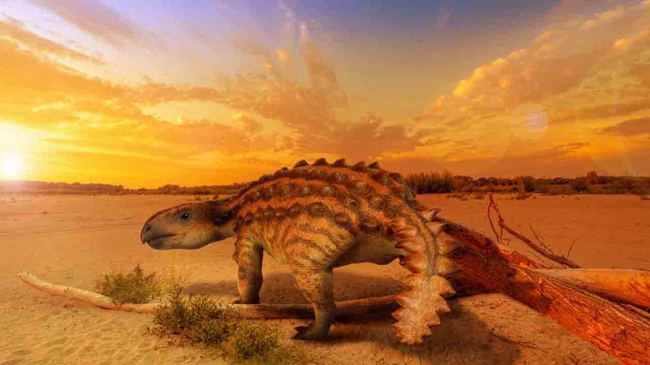 Dinosaur: চিলিতে পাওয়া গিয়েছে নতুন প্রজাতির ডায়নোসরের জীবাশ্ম, লেজের গঠনে রয়েছে ধারালো ব্লেডের মতো অংশ Dinosaur: চিলিতে পাওয়া গিয়েছে নতুন প্রজাতির ডায়নোসরের জীবাশ্ম, লেজের গঠনে রয়েছে ধারালো ব্লেডের মতো অংশ
