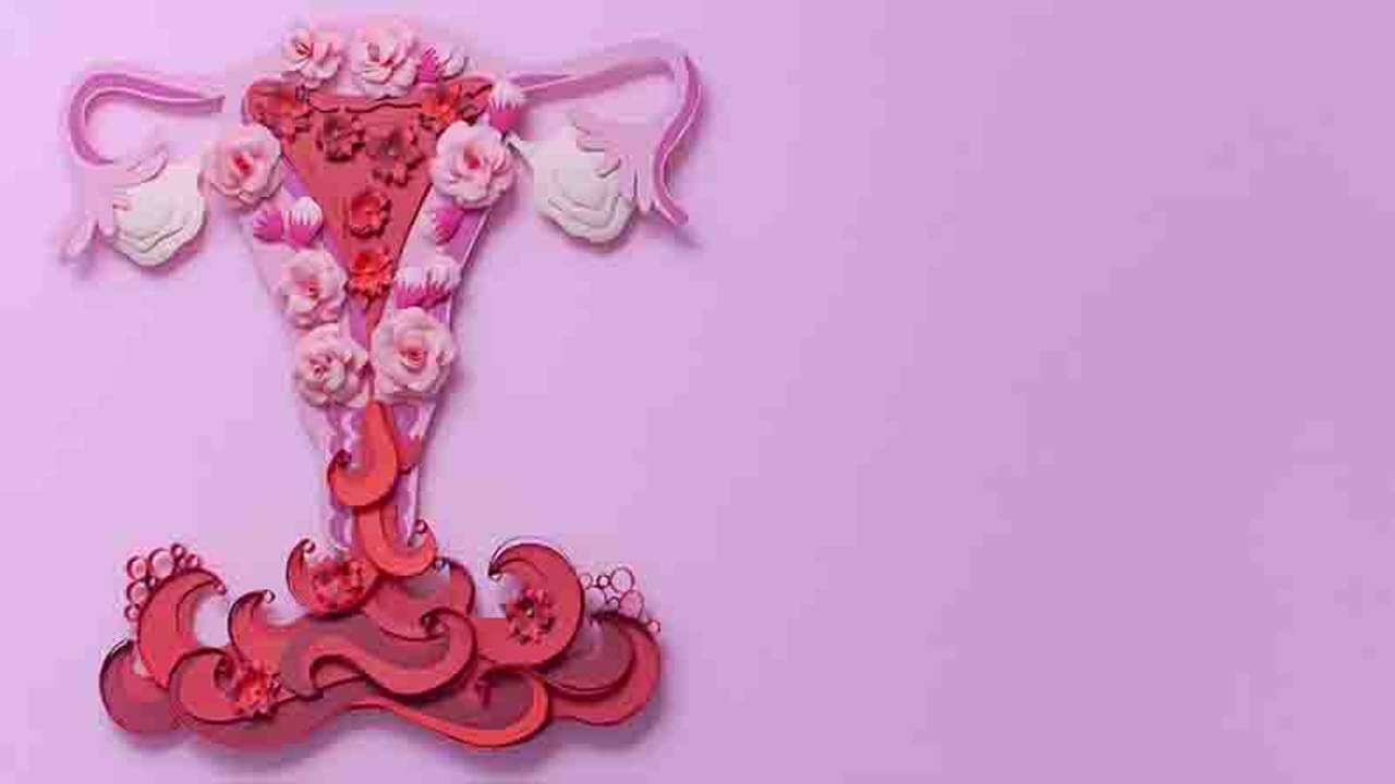Women Health: মাসে দুবার ঋতুস্রাব হওয়াটা কি স্বাভাবিক? জানুন এর আসল কারণগুলি কী-কী