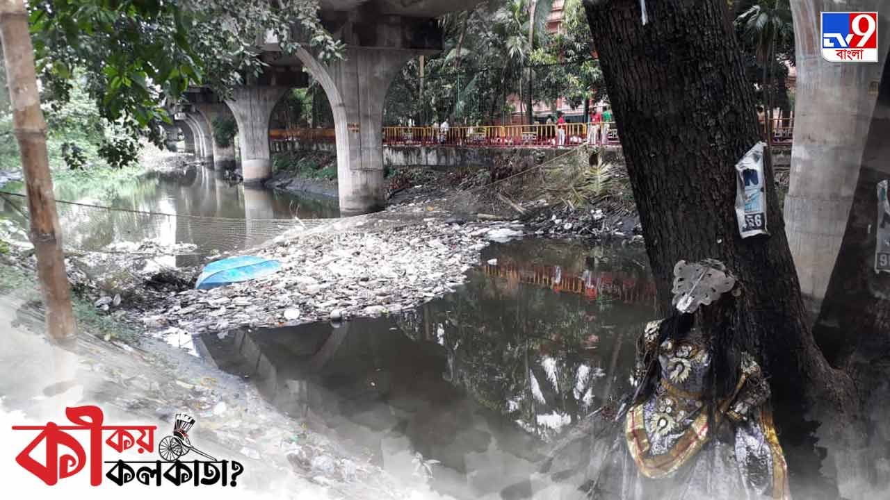 মুখ্যমন্ত্রীর 'দুয়ারের' আদিগঙ্গা আছে সেই আদিতেই, মশার কামড়-কটূ গন্ধে অতিষ্ঠ তিলোত্তমাবাসী