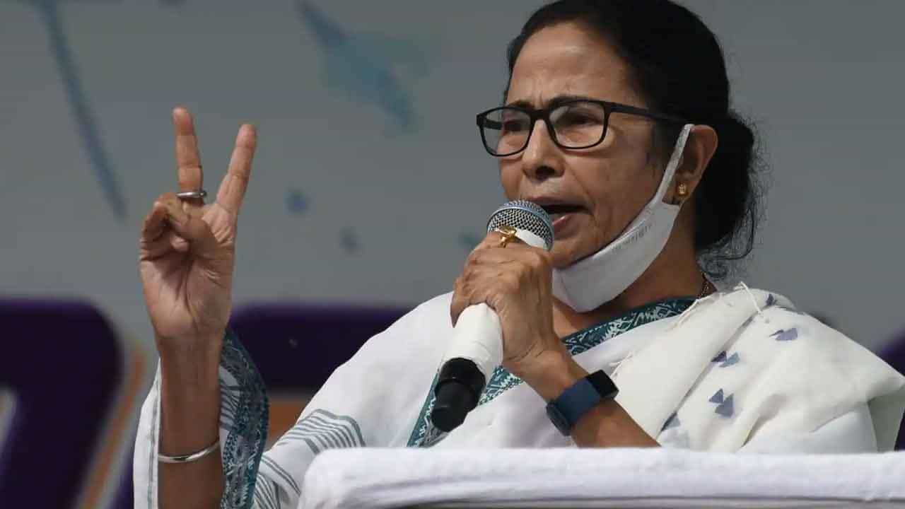 KMC Election Result 2021: 'বিজেপি ভোকাট্টা, সিপিএম নো পাত্তা বাই দ্য পিপল আর কংগ্রেস স্যান্ডউইচ', ল্যান্ডস্লাইড ভিক্ট্রি পেয়ে কটাক্ষ মমতার KMC Election Result 2021: 'বিজেপি ভোকাট্টা, সিপিএম নো পাত্তা বাই দ্য পিপল আর কংগ্রেস স্যান্ডউইচ', ল্যান্ডস্লাইড ভিক্ট্রি পেয়ে কটাক্ষ মমতার
