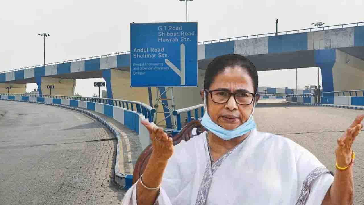 Mamata Banerjee: আমি নীল-সাদা করলে আর্জেন্টিনা, আর তোমরা করলে কি টুনটুনা?