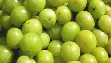 Indian Gooseberry: আমলকীর গুণ অনেক! কিন্তু কোন ব্যক্তিদের জন্য এই গুণই শারীরিক সমস্যা তৈরি করতে পারে জানেন?