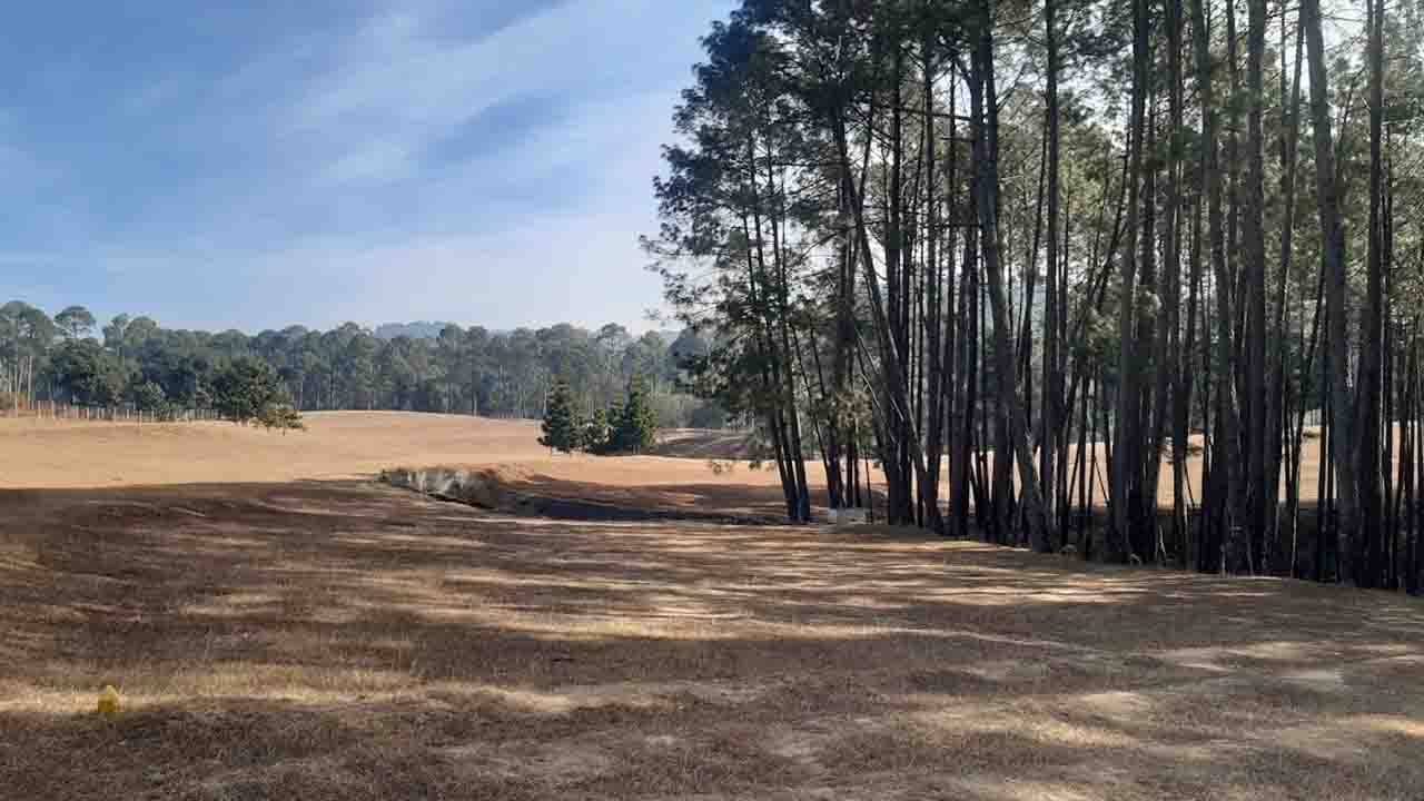 Ranikhet-Almora: সরলতা আজও ধরা দেয় এই আলমোড়ার পাহাড়ে! মন পড়ে থাকে রানির দেশে