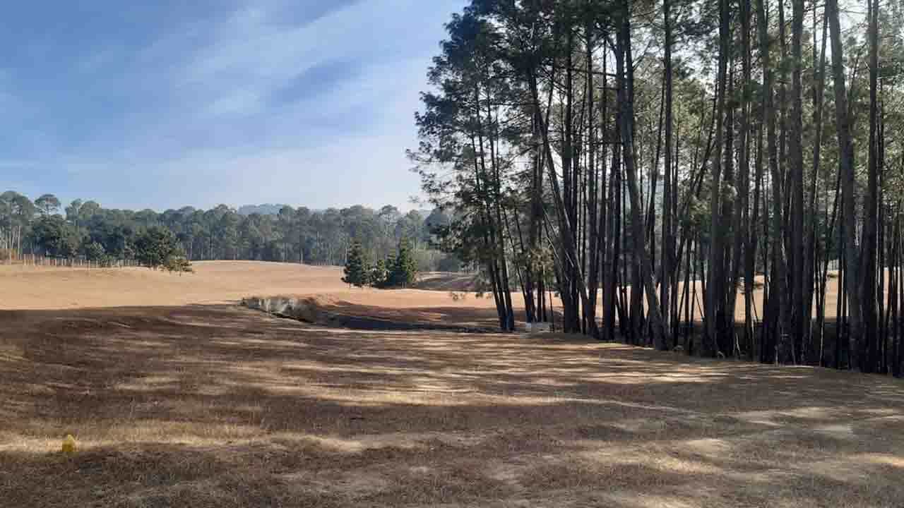 Ranikhet-Almora: সরলতা আজও ধরা দেয় এই আলমোড়ার পাহাড়ে! মন পড়ে থাকে রানির দেশে