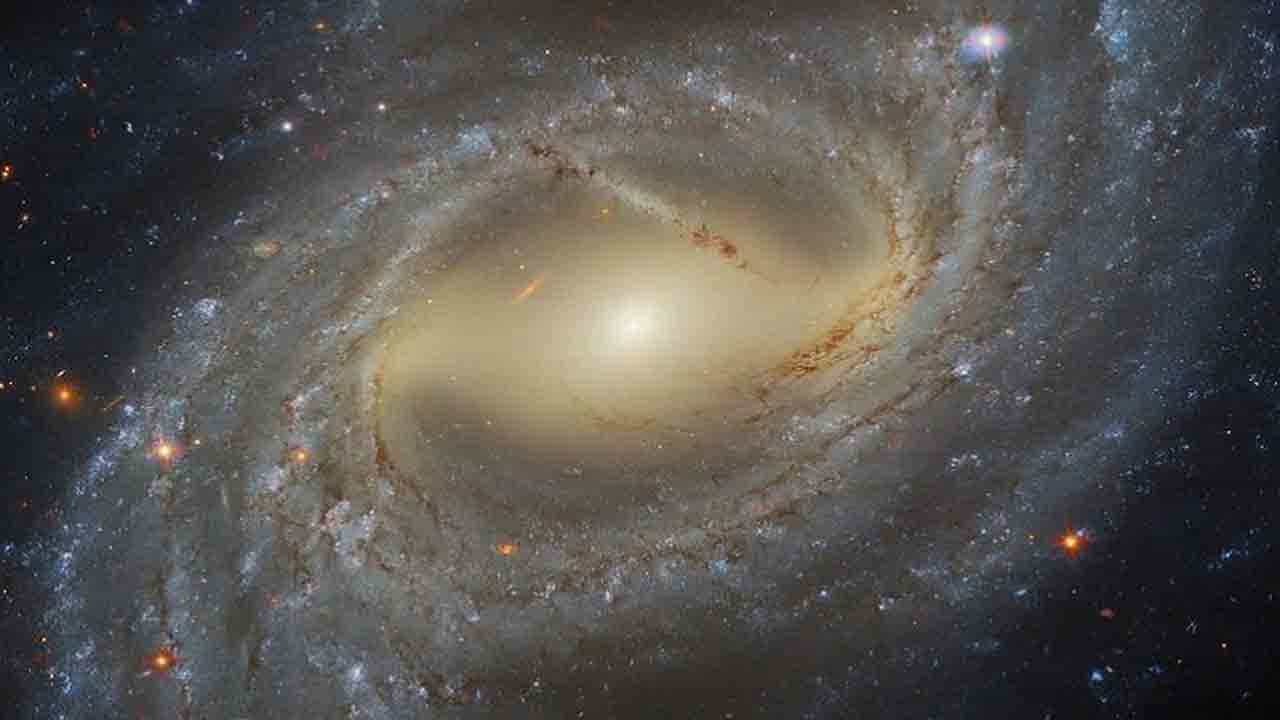 Swirling Galaxy: হাব্বল টেলিস্কোপে ধরা পড়ল ঘূর্ণায়মান ছায়াপথের বিস্ময়কর ছবি, মুগ্ধ মহাকাশ প্রেমীরা Swirling Galaxy: হাব্বল টেলিস্কোপে ধরা পড়ল ঘূর্ণায়মান ছায়াপথের বিস্ময়কর ছবি, মুগ্ধ মহাকাশ প্রেমীরা