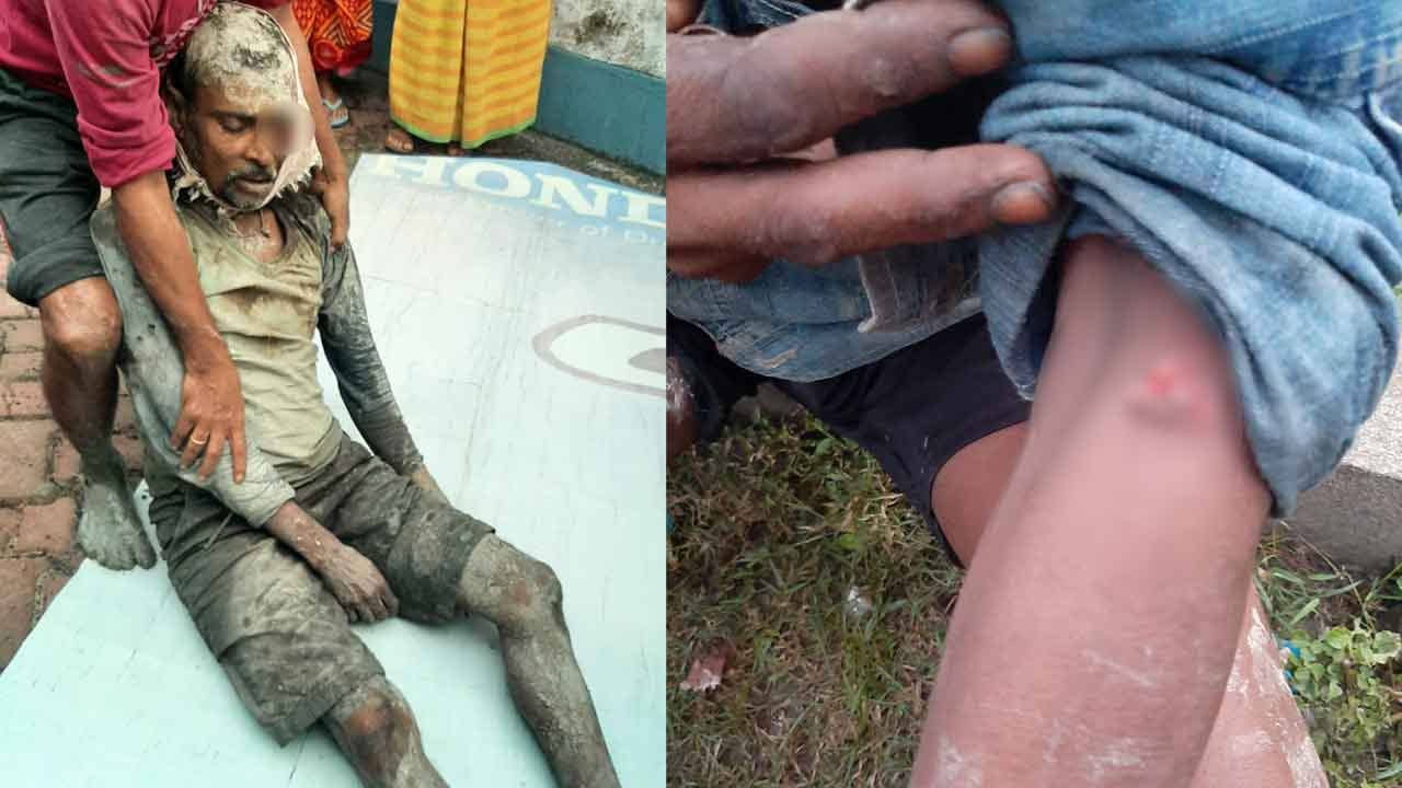 Sundorbon Tiger Attack: সঙ্গীকে হিঁচড়ে নিয়ে যাচ্ছে, দেখেই কিছু না ভেবে বাঘের ঘাড়ে ঝাঁপিয়ে পড়লেন মত্স্যজীবী! পরেরটা হার না মানার গল্প