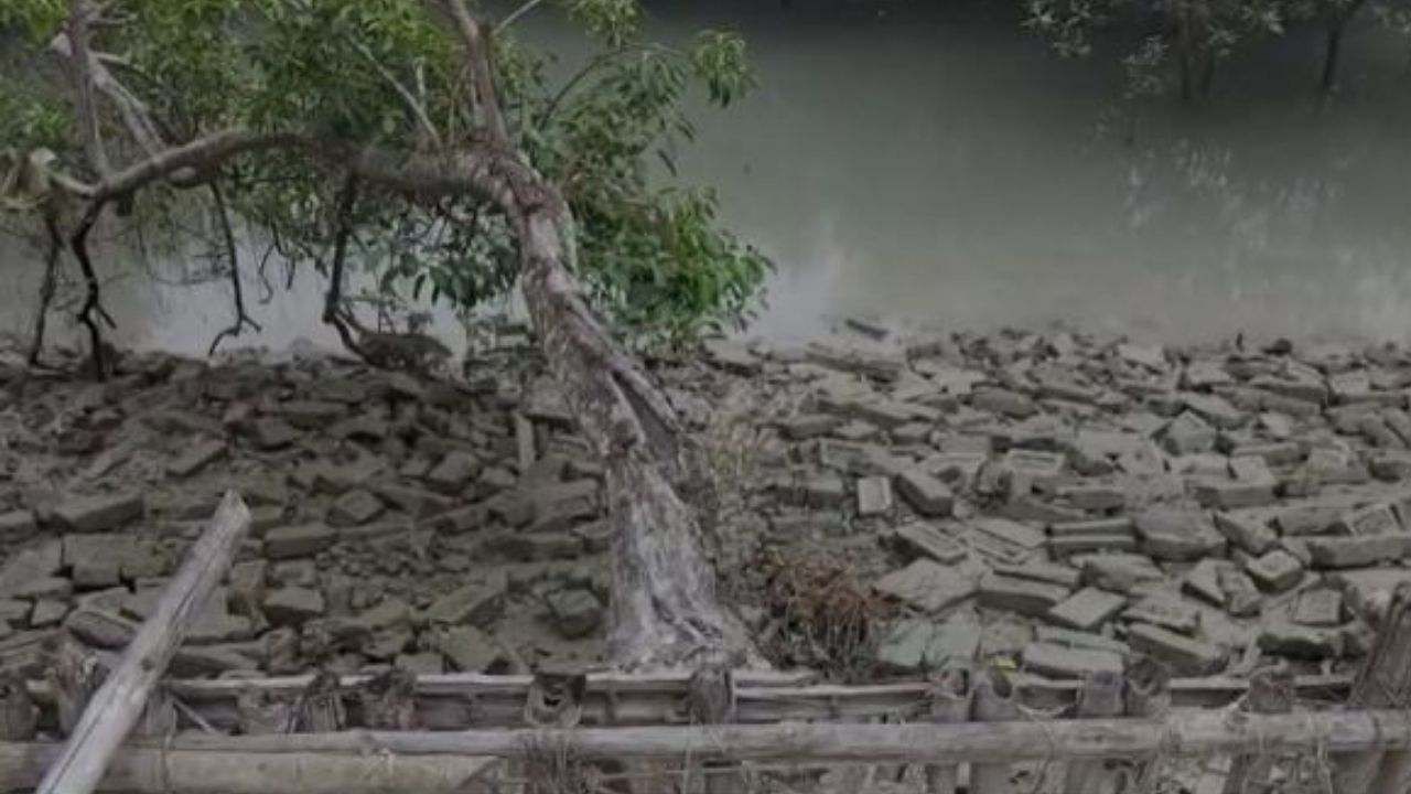 Cyclone Jawad: জাওয়াদ ভয়ে কাঁটা সুন্দরবন, নদী বাঁধ নিয়ে আতঙ্কে ঘুম উড়েছে! ক্ষতি রুখতে জোরকদমে শুরু প্রস্তুতি