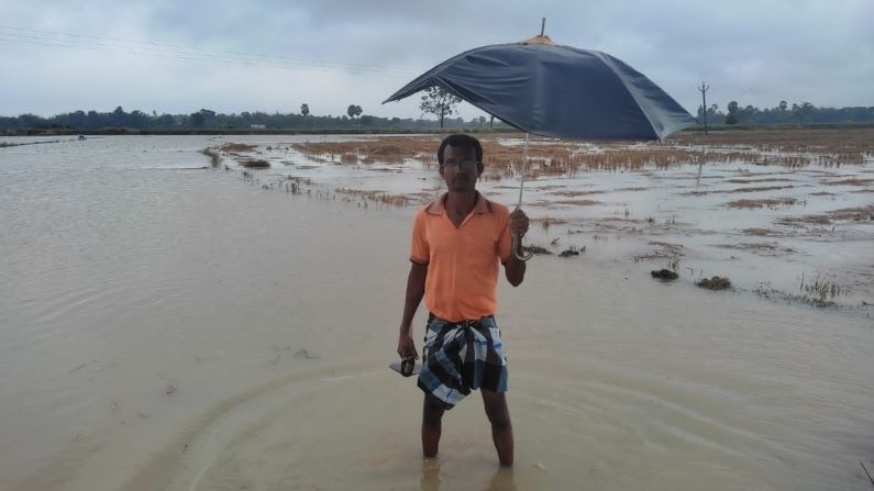 হুগলি জেলা কৃষি উপ অধিকর্তা জয়ন্ত পাড়ুই জানান,সোমবার ১৩০ মিলিমিটার বৃষ্টিপাত হয়েছে। জেলায় এখনো দশ শতাংশ মত জমির ধান তোলা বাকি আছে। যে সব ধান নীচু জমিতে চাষ হয়েছিল অথবা একটু নাবি চাষ হয়েছিল সেই ধান এখনো ওঠেনি।কাল থেকে রোদ উঠলে ধানের ক্ষতি হয়ত সেভাবে হবে না।"