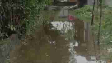 Naihati Waterlogging: জলবন্দি নৈহাটি! জমা জলে বাড়ছে ডেঙ্গি, সাপের আতঙ্ক