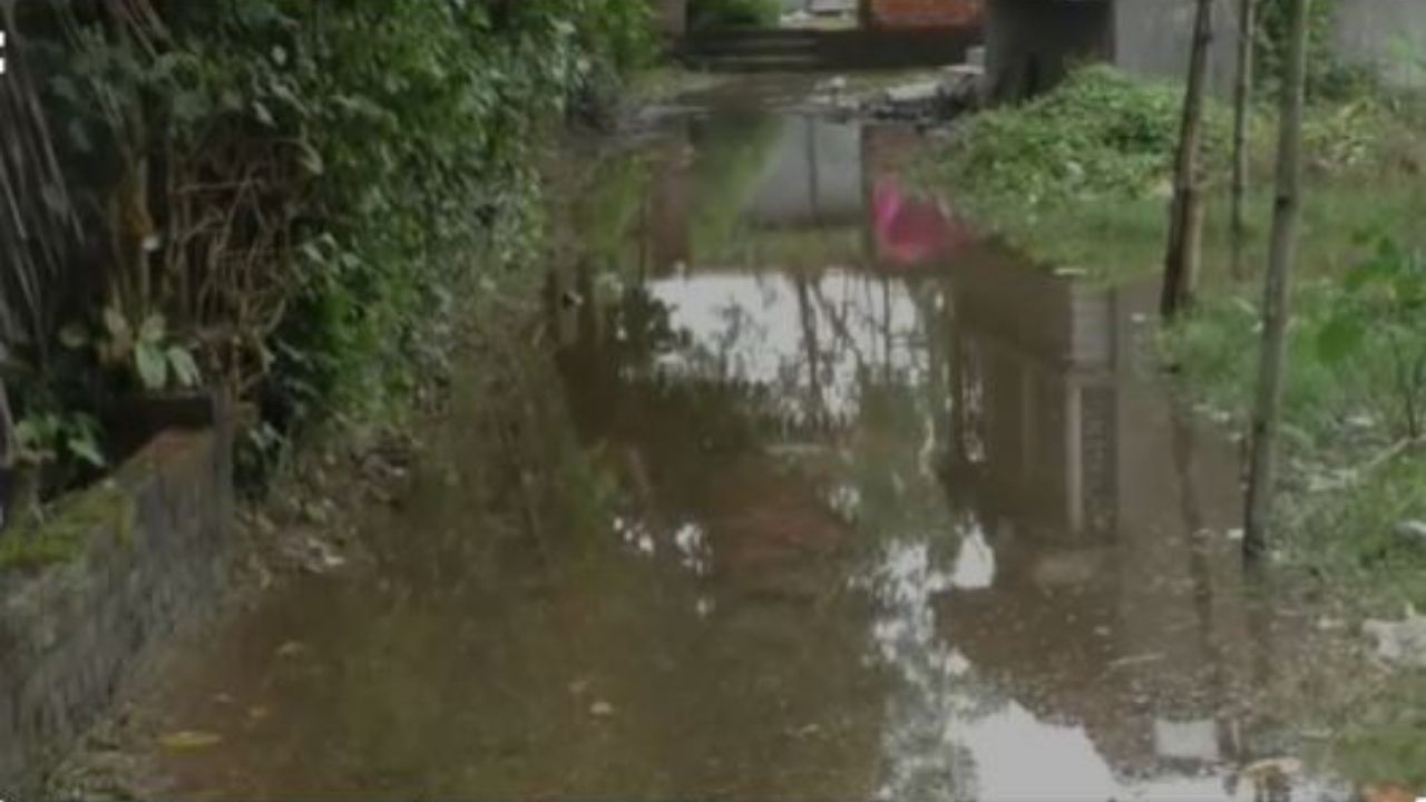 Naihati Waterlogging: জলবন্দি নৈহাটি! জমা জলে বাড়ছে ডেঙ্গি, সাপের আতঙ্ক