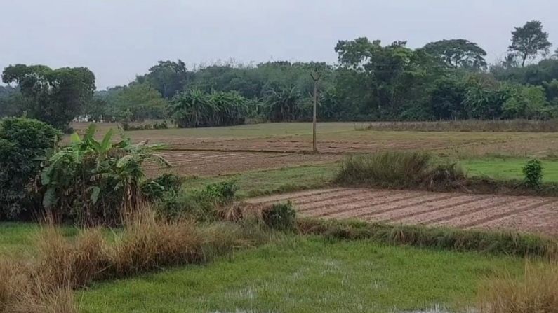 জেলার অধিকাংশ মানুষেরই  প্রধান  জীবিকা চাষবাস। সেক্ষেত্রে প্রধান জীবিকা যখন ব্যাপকভাবে ক্ষতিগ্রস্ত তখন পথে বসা ছাড়া আর কোনও উপায় দেখছে না পূর্ব মেদিনীপুরের চাষিরা  । সরকারের কাছে কাতর আবেদন এই ক্ষতি কিছুটা লাঘুব করুক সরকার । চাষিদের এরূপ দুর্দিনে কীভাবে সরকারকে পাশে পাবে  সে বিষয়ে সংশয়ে রয়েছেন চাষীরা ।