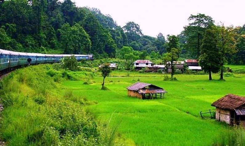 ডুয়ার্স, পশ্চিমবঙ্গ: হিমালয়ের পাদদেশে গুপ্তরত্ন এটি। খরস্রোতা নদী, সংরক্ষিত জাতীয় উদ্যান, ঘন জঙ্গলের পথ বেয়ে ট্রেন সফরে প্রকৃতির এই স্বর্গকে দেখার সুযোগ অনেকের হয় না।