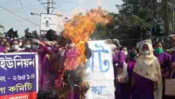 Asha worker Protest: অতিরিক্ত কাজ করিয়েও দেওয়া হচ্ছে না প্রাপ্য বেতন! বিক্ষোভে সামিল আশাকর্মীরা