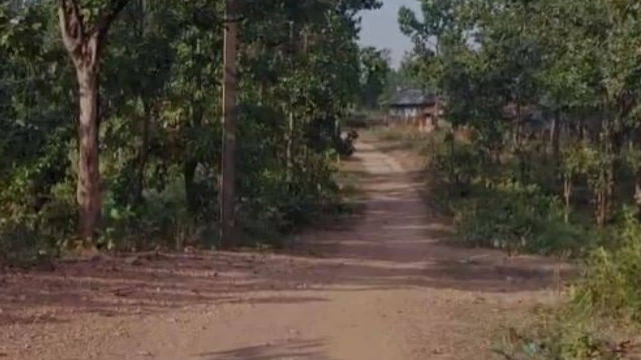 Maoist activities: অনুন্নয়নকে হাতিয়ার করে আবারও কি জঙ্গলমহলে সক্রিয় মাওরা?