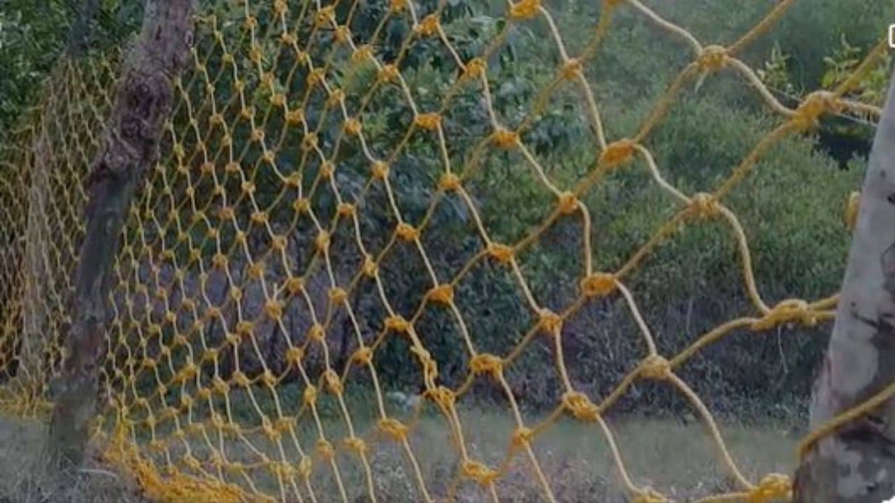 Tiger Panic কুলতলির পর ঝড়খালি! নদীর চরে তার পায়ের ছাপ, তবে কি ফের...