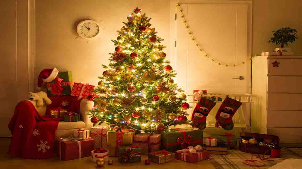 Christmas 2021: বাস্তু দোষ দূর করার ক্ষেত্রে ক্রিসমাস ট্রির ভূমিকা জানা আছে কি? Christmas 2021: বাস্তু দোষ দূর করার ক্ষেত্রে ক্রিসমাস ট্রির ভূমিকা জানা আছে কি?