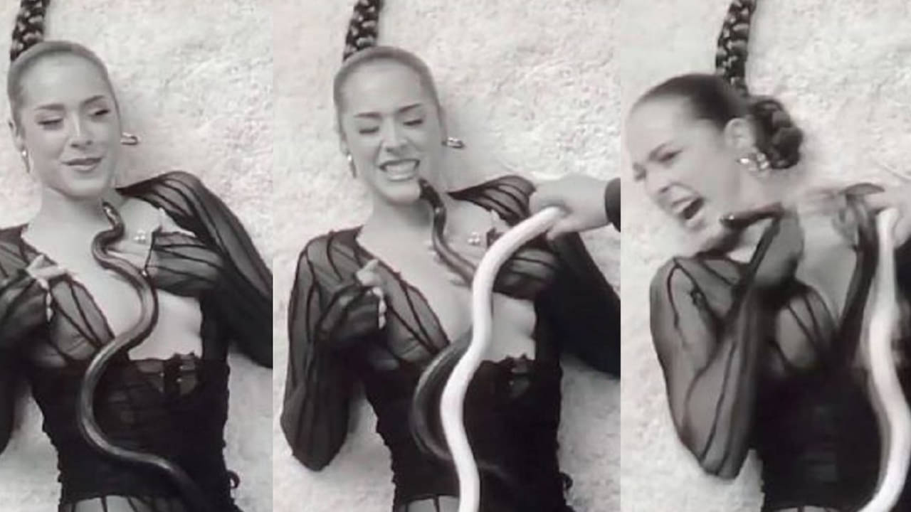 Viral Video: সাপ নিয়ে মিউজিক ভিডিয়ো, মুখে কামড় খেলেন মার্কিন গায়িকা, দেখুন ভিডিয়ো